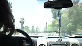 Why are three cougars pleasing that lucky stud?