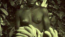 Dark Lantern Entertainment Unveils Vintage Erotic Confessions