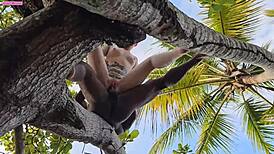 My lover drills my butt on a tall tree branch.