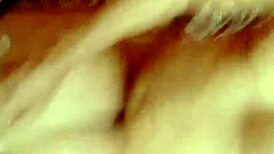 sundaydogood614 update 335 on jul 21 2024