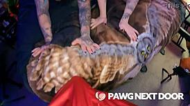 Big Tit Pawgs Take Turns Sucking Monster Bbc Pov