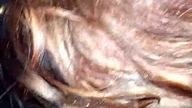 Retro Blue Film Video from February 4, 2017