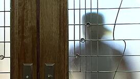 Trinity Post Takes Black Dick Deep in Her Butt! Wow!