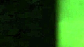 i saw my little neighbor today