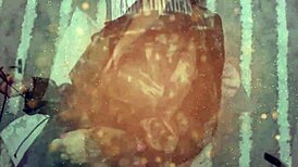 She demands you FUCK her pussy then her ass for creampie