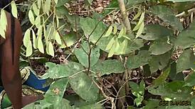 Wow, Holiday Sex in the Bush!