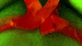 Blowjob And Exposing Body With Big Cock And Wet Tits