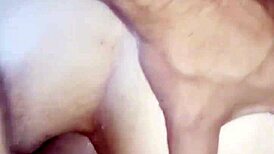 We film daily for your jerk-off pleasure with milf doggystyle close-ups