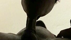 He was cumming but I kept sucking for big load!