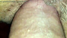 De Perrito Le Introdusco Toda La Verga