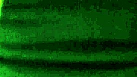 She swallows my cum in POV