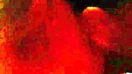 amateur couple gets wild with creamy backshots in quick dripping action