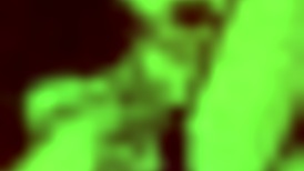 slave training in star wars game with master