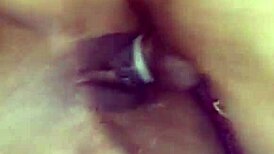 home sex with latina bbw featuring oral and anal