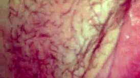 Wild Amateur Action in a Steamy Encounter You Can't Miss.