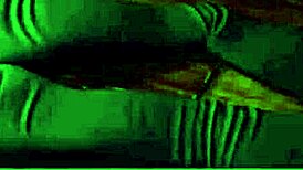 In Widowmaker's wild ride, Saga rides while sucking cock, her thicc ass goth squirrel girl getting anal fucked.