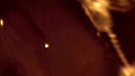 Lovely Brunette Dances Gracefully with Mature Amateurs in Handjob Scenes