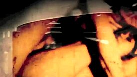 dark lantern entertainment brings vintage hairy beaver classics