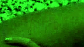 Alice Fire Delivers Intense Blowjob And Hardcore Fucking In Luxurious Hotel Room