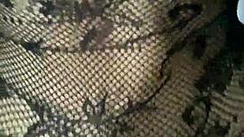 does this big ass latina in lingerie want your cum?