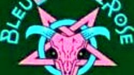 i'm horny, giving blowjob and riding huge cock deep.