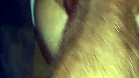 Cuckold husband enjoys sensual quickie with lover.