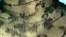 does this big ass latina in lingerie want your cum?