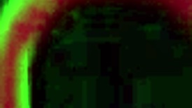 Bubble booty Selena Lust bent over for Rome Major’s BBC pounding.