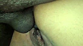 कर्वी बार्बी मार्ले का पहला पॉर्न, दो लड़कों से चुदाई और मुंह में कम लिया