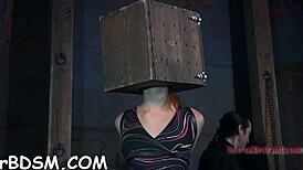 Boldly Inflicting Intense Pleasure on Naked Babe's Wet Pussy with Rough Blowjob and Hardcore Fucking Contest