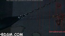 Boldly Inflicting Intense Pleasure on Naked Babe's Wet Pussy with Rough Blowjob and Hardcore Fucking Contest