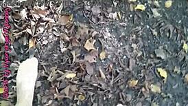 Little Nylon Forest Walk