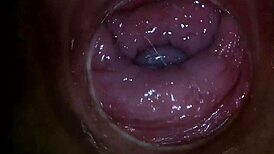 Camera goes deep inside Paula Shy's vagina for close-up action