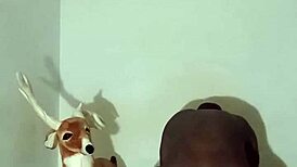 showing off zodiac patience without touching myself in group bent over poses.