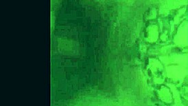 Compilation of Sucking Big Cocks, Cumshots on Big Tits, Creampies, and Oral Pleasures