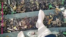 Little Nylon Forest Walk