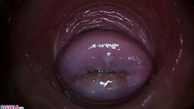 Camera goes deep inside Paula Shy's vagina for close-up action