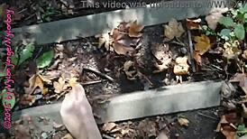 Little Nylon Forest Walk