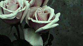 mcr - i dont love you sub español