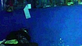 I called my latina office colleague for a break during the party