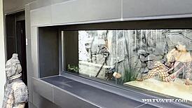 alexa tomas dominated by two cocks