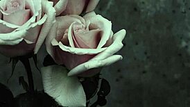 mcr - i dont love you sub español