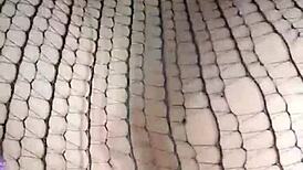 Colombian Amateur Gets Facial Cumshot After Intense Anal Creampie