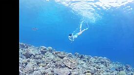 Okinawa hibiscus nipples in fucking and sleeping scene