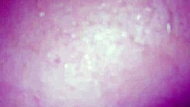 after pounding my wife's tight ass with deep thrusts