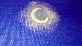 Intense Cumshot Close-Up with Huge Cock and Sexy Talk