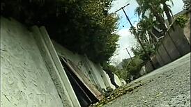 Stories I write in my diary part 1 with personal reflections