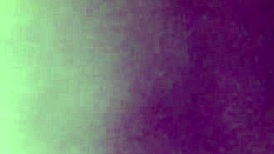 Intense doggystyle with wet pussy and gaping asshole