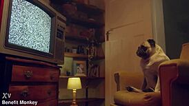 blue-eyed liz rainbow from benefit monkey gets mouth full of semen