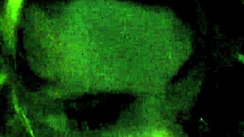 Video 0040 Featuring Oral Point Of View Swallow Mature Woman Facial Expression In High Definition